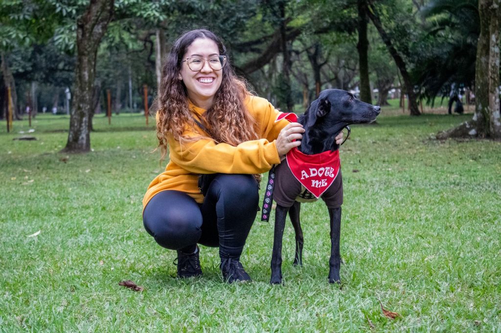 Maneiras fáceis de adotar um pet